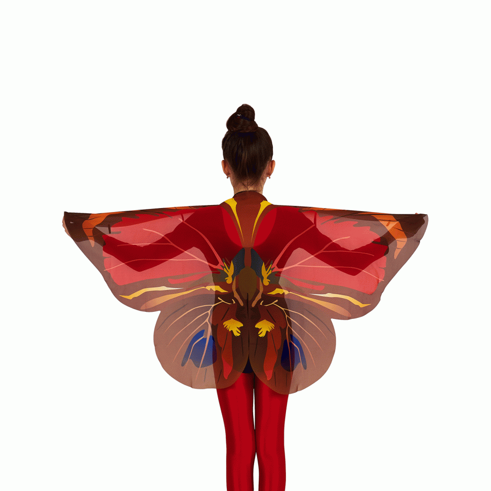 "Бабочка - Махаон" карнавальный костюм  